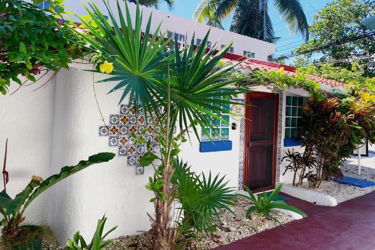 Beautiful & Cozy Studio In Akumal Paradise-Wifi, Ac Екстериор снимка