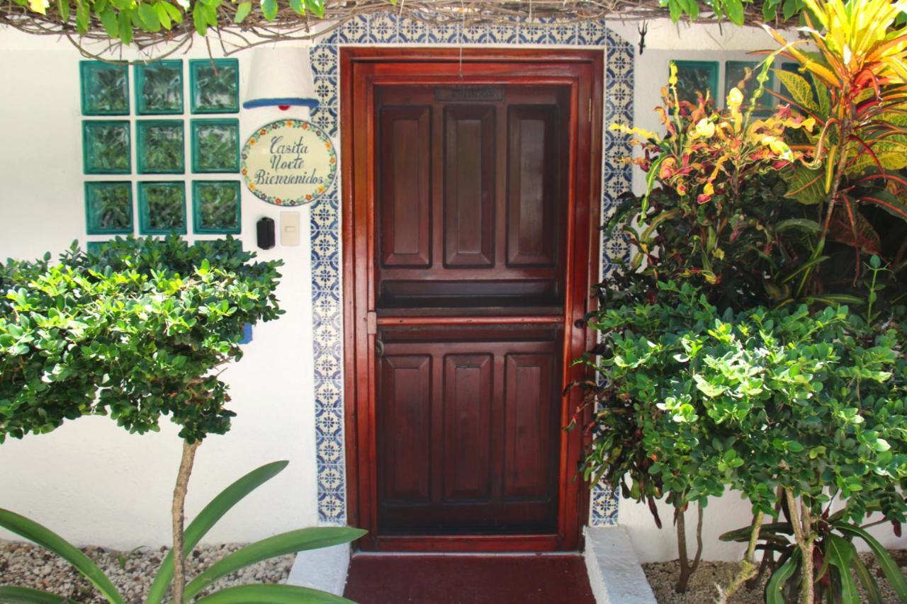 Beautiful & Cozy Studio In Akumal Paradise-Wifi, Ac Екстериор снимка