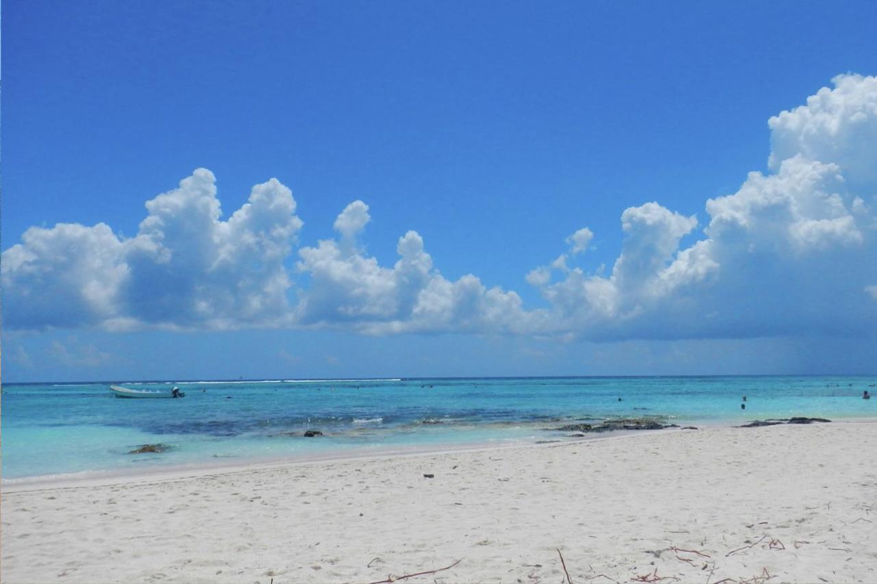 Beautiful & Cozy Studio In Akumal Paradise-Wifi, Ac Екстериор снимка