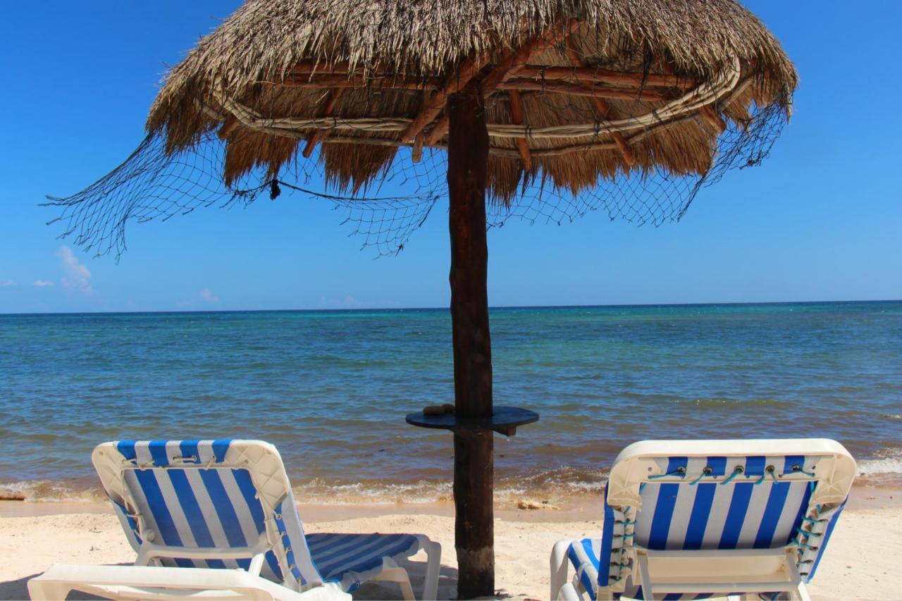 Beautiful & Cozy Studio In Akumal Paradise-Wifi, Ac Екстериор снимка