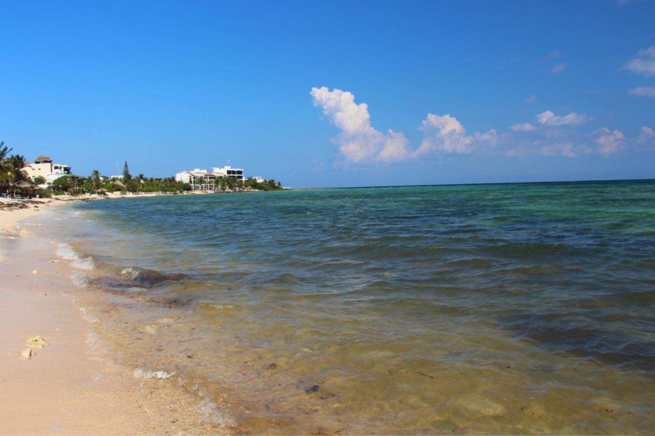 Beautiful & Cozy Studio In Akumal Paradise-Wifi, Ac Екстериор снимка