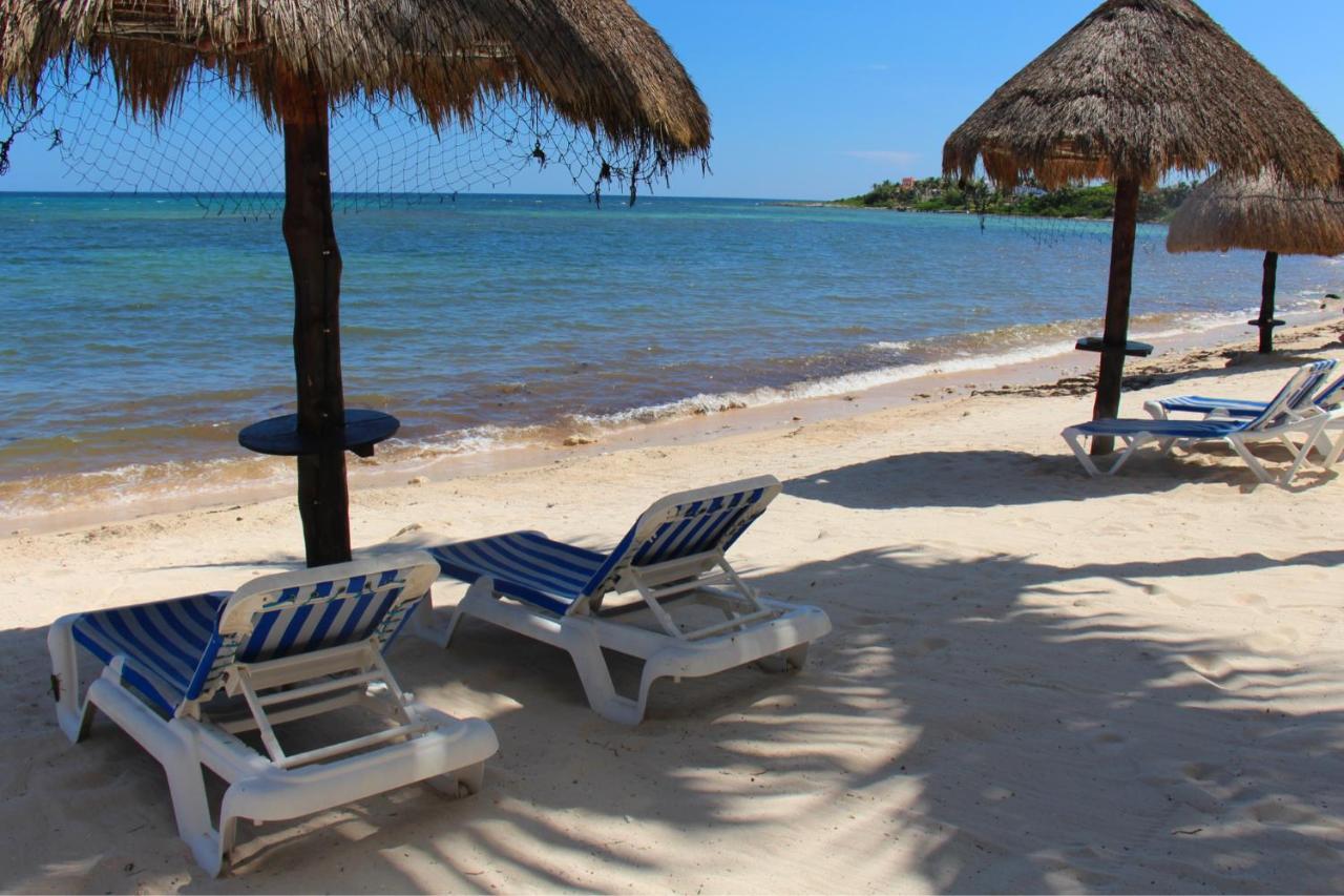 Beautiful & Cozy Studio In Akumal Paradise-Wifi, Ac Екстериор снимка